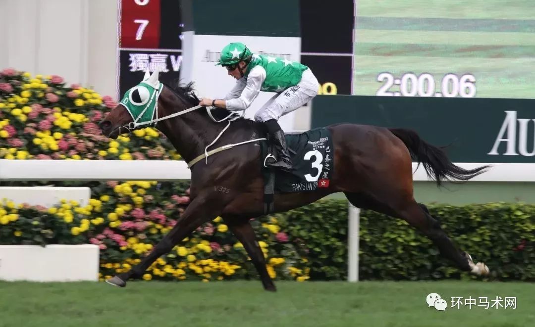 香港今晚開什么特馬，香港今晚特馬開獎結(jié)果