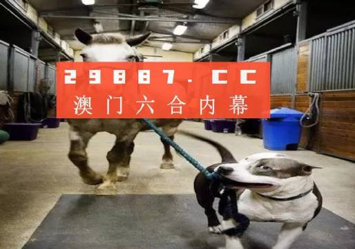 澳門一肖一碼一必中一肖同舟前進(jìn)，澳門一肖一碼必中一精準(zhǔn)預(yù)測，同舟前進(jìn)共創(chuàng)輝煌