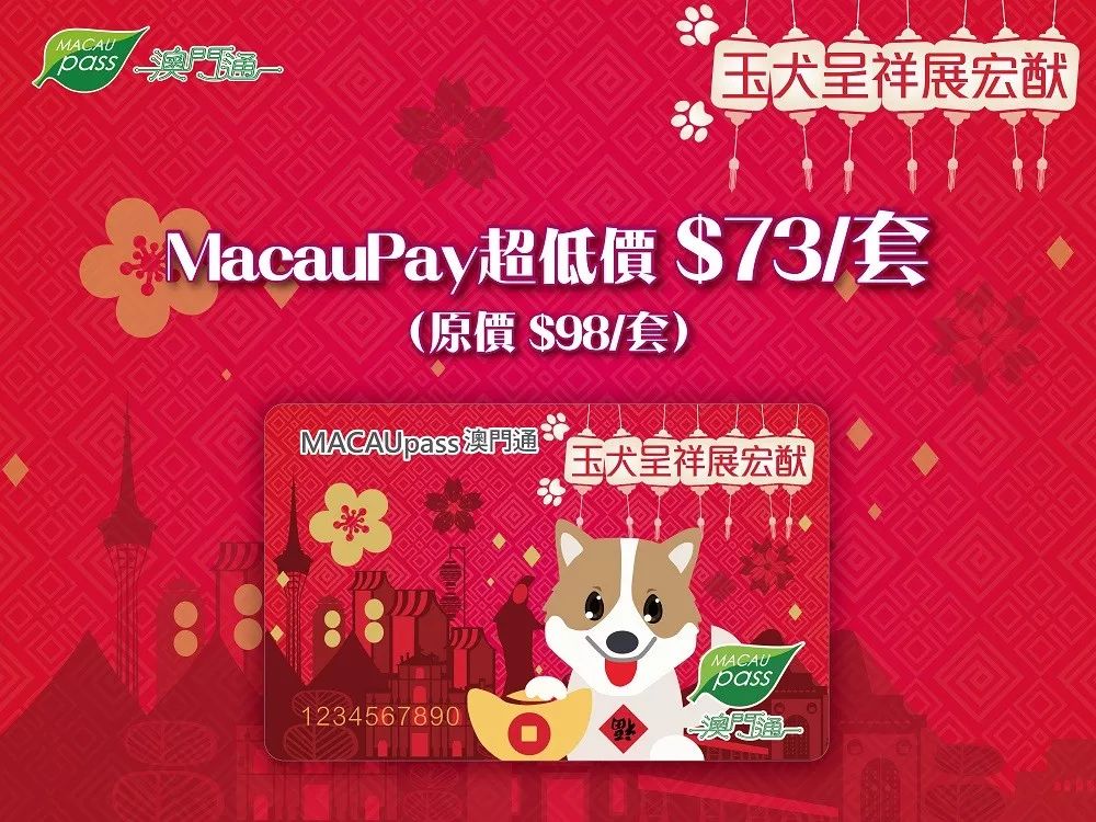 澳門正版資料大全資料生肖卡，澳門正版資料大全，生肖卡全收錄