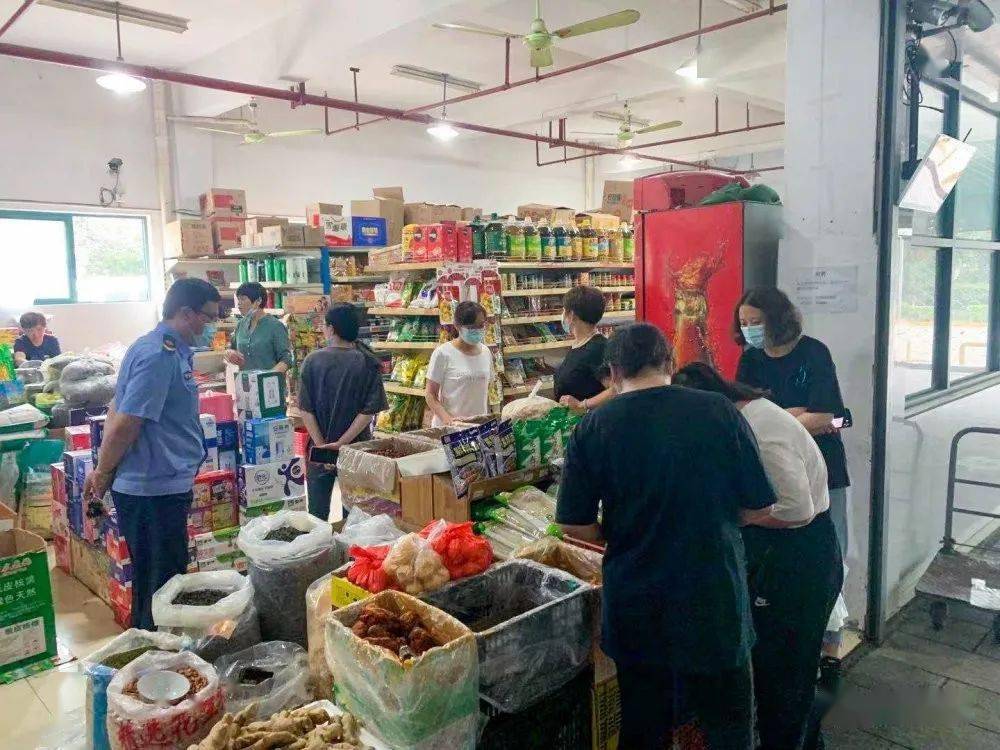 新澳好彩免費(fèi)資料查詢最新版本，全面解析與實(shí)用指南，新澳好彩免費(fèi)資料查詢最新版解析與指南