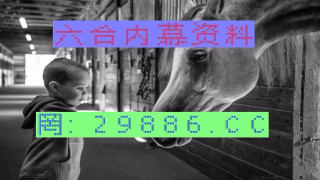 馬會傳真與澳門管家婆的百分百信賴，馬會傳真與澳門管家婆的信賴之選