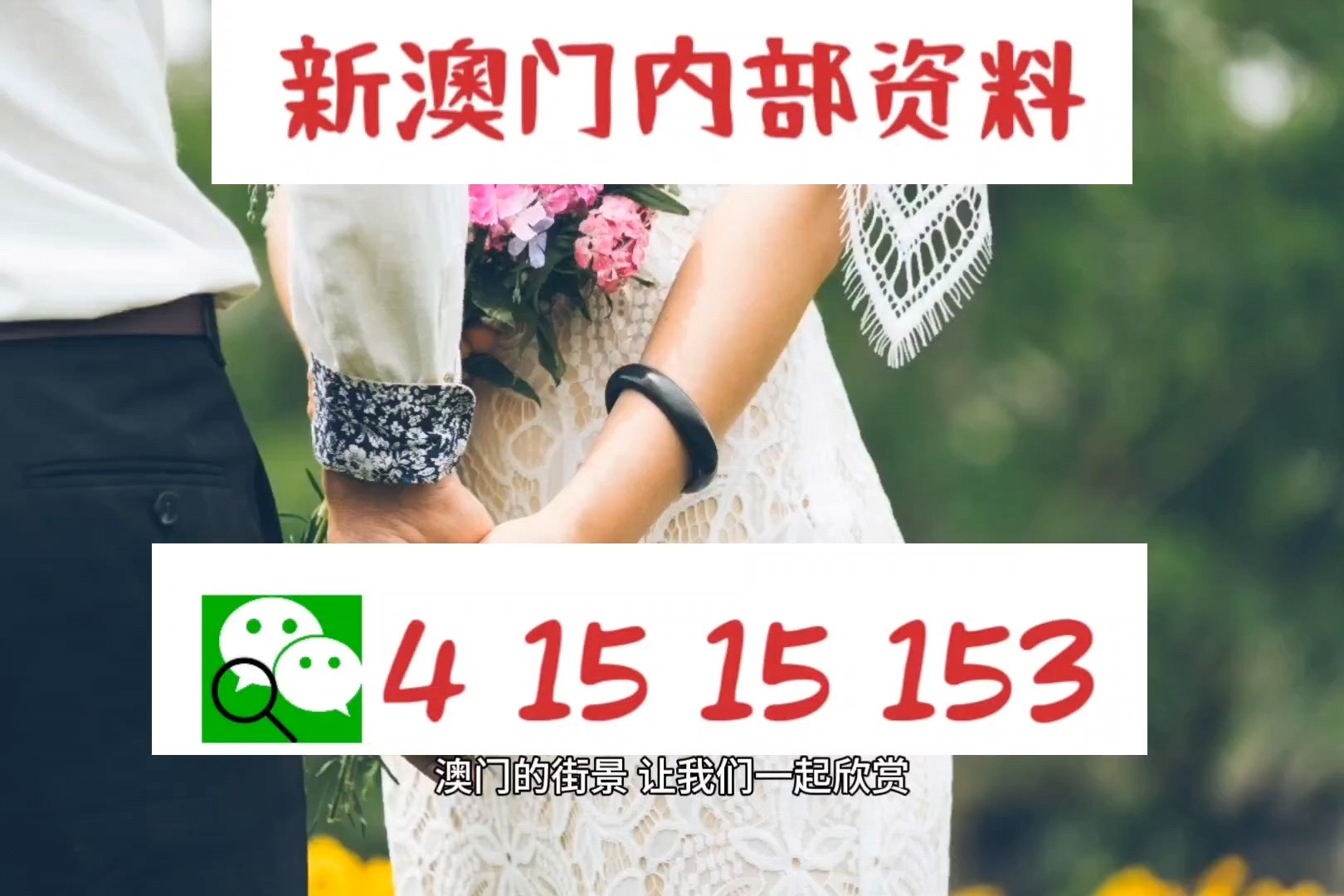 新澳精選資料免費提供，新澳精選資料免費分享