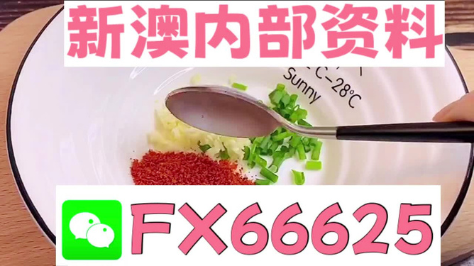 新澳全年免費資料大全，一網(wǎng)打盡各類資源，新澳全年免費資料大全，各類資源一網(wǎng)打盡