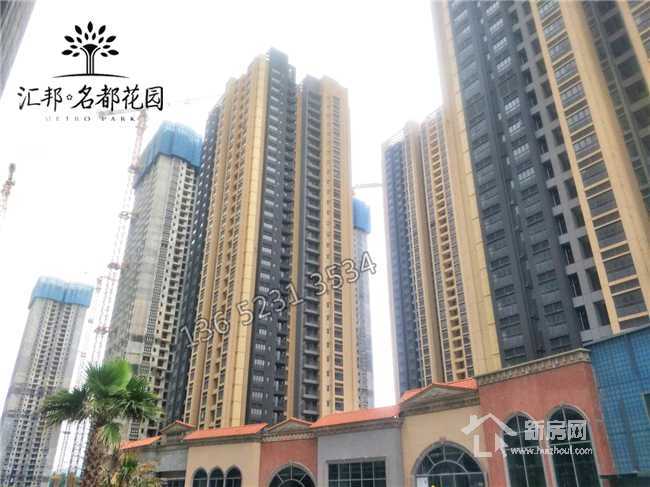 白小姐三期必出一肖種特，深度解析與預(yù)測，白小姐三期種特深度解析與預(yù)測，必出一肖揭秘！