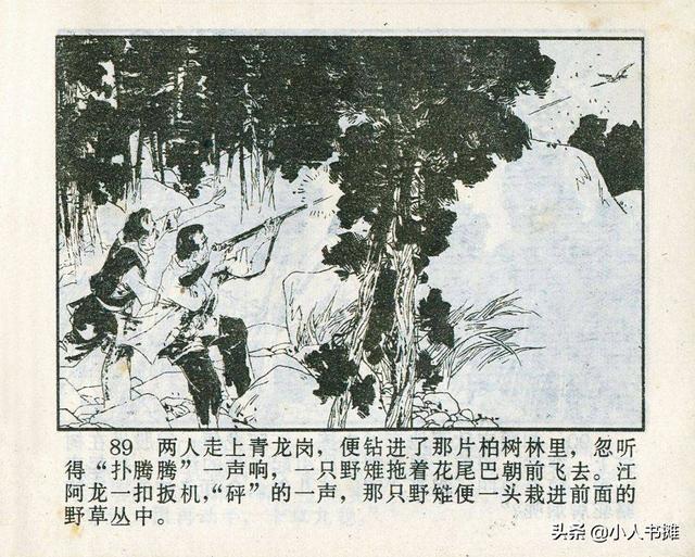 溪門精淮一肖探索之旅，深度解析溪門奧秘，溪門精淮一肖探索之旅，深度揭秘溪門之謎