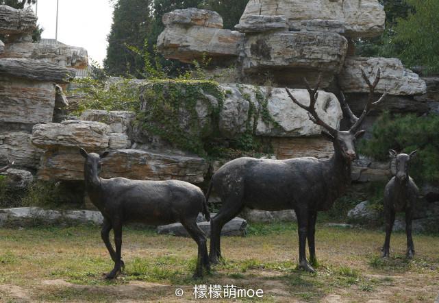 四不像資料免費(fèi)大全，四不像資料大全，免費(fèi)獲取，一網(wǎng)打盡