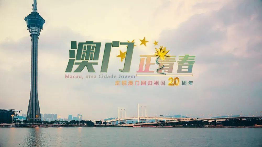 新奧門資料大全正版資料2025年免費(fèi)下載，澳門正版資料大全2025年免費(fèi)下載全新版