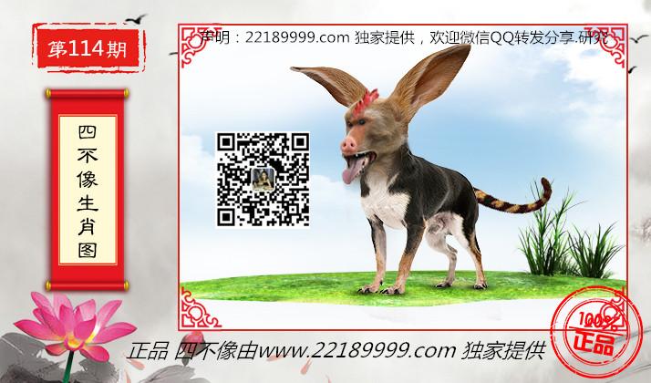 四不像正版資料，四不像正版資料詳解