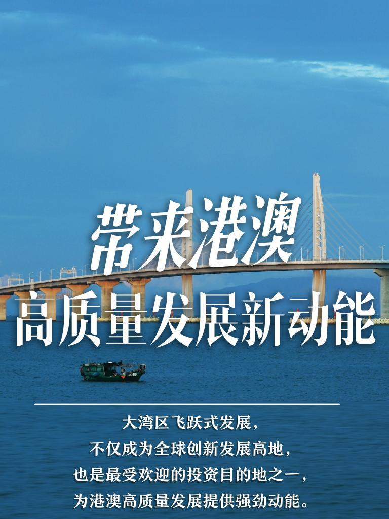 探索未來(lái)之門(mén)，2025新澳門(mén)精準(zhǔn)免費(fèi)大全，探索未來(lái)之門(mén)，2025新澳門(mén)精準(zhǔn)免費(fèi)大全概覽