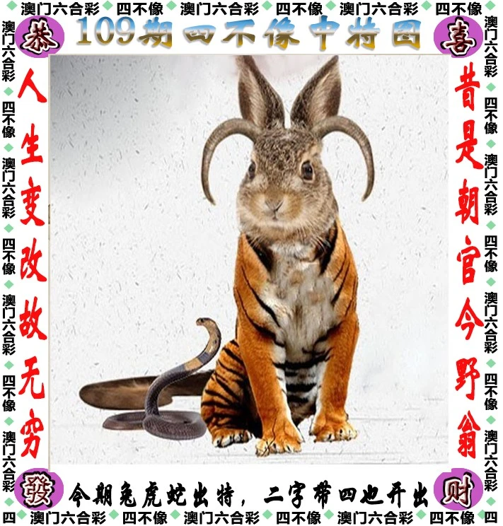 今晚必中一肖一碼四不像，揭秘彩票的神秘面紗，揭秘彩票神秘面紗，今晚必中一肖一碼四不像