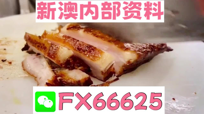 新奧長(zhǎng)期免費(fèi)資料大全，一網(wǎng)打盡所有你需要的資源，新奧長(zhǎng)期免費(fèi)資料大全，一站式獲取所有所需資源