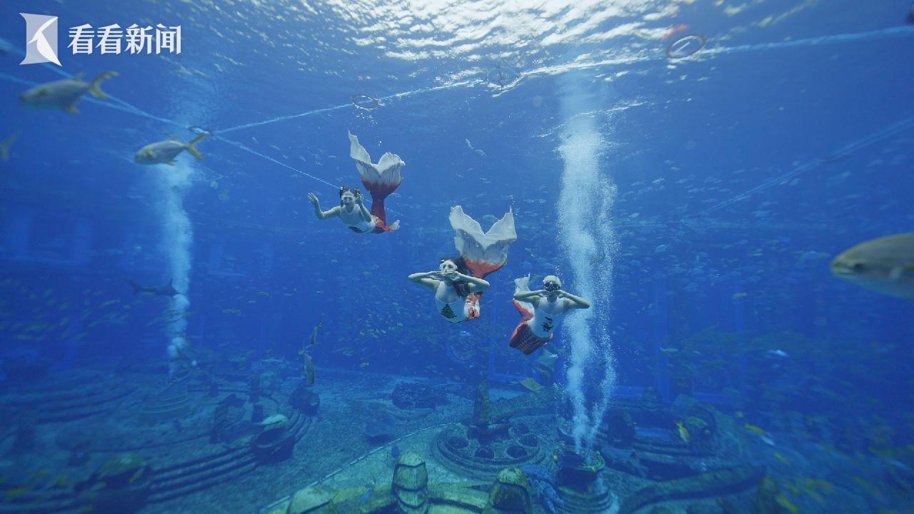 澳門美人魚，神秘魅力與傳奇故事，澳門神秘美人魚，魅力傳奇與故事探秘