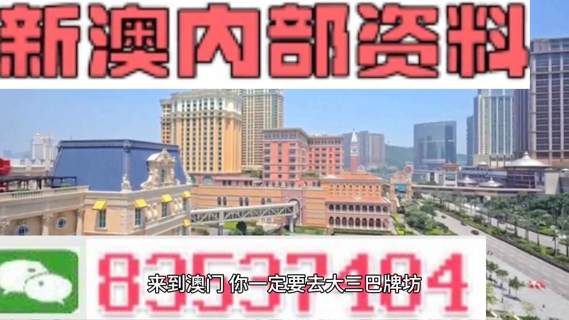 2025新澳精準資料大全，2025新澳精準資料大全手冊
