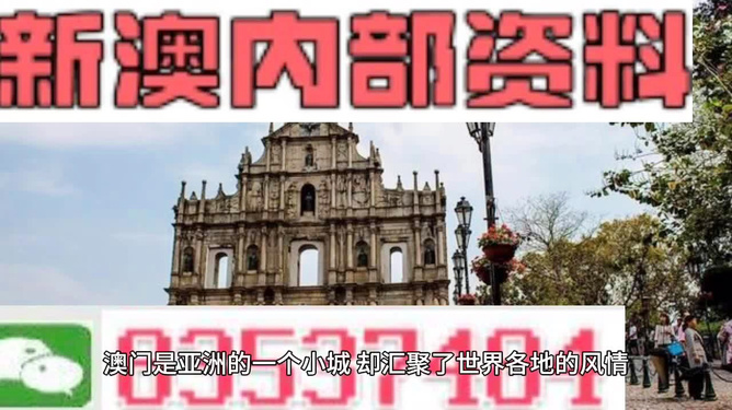 澳門今晚一肖必中特，澳門今晚一肖必中特，揭秘幸運之夜的神秘面紗