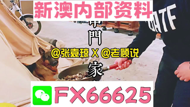 管家婆精準資料免費，管家婆精準資料免費公開