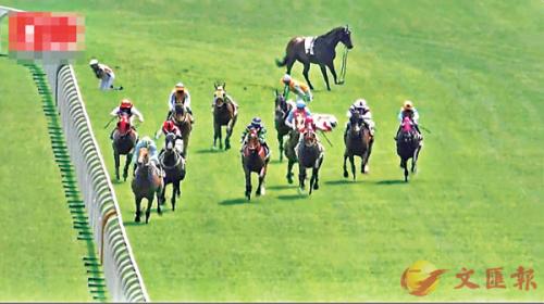 香港資料大全正版資料2025年免費四柱:馬報，香港資料正版大全，四柱預測免費探索（馬報版）