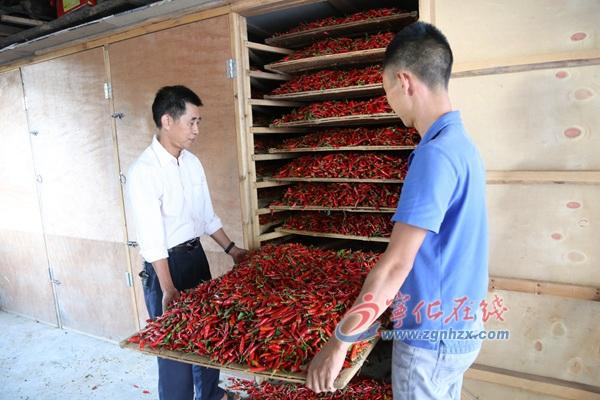 王中王王中王免費資料大全一一，王中王資料大全全免費獲取