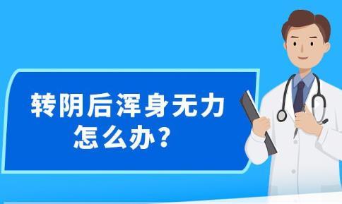新澳精準(zhǔn)資料提供網(wǎng)站及其可用軟件綜述，新澳精準(zhǔn)資料提供網(wǎng)站與可用軟件概覽