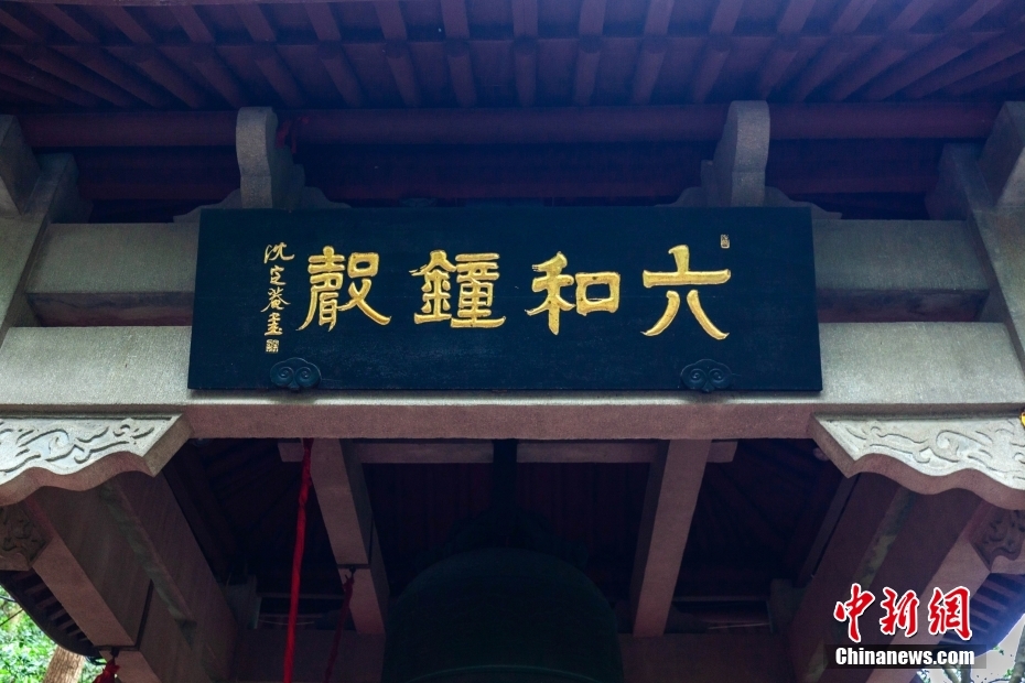 探索六和彩，資料獲取與正規(guī)網(wǎng)址導航，探索六和彩，資料獲取與正規(guī)網(wǎng)址導航指南