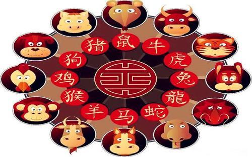 澳門天天開彩大全免費(fèi)十二生肖子什么？揭秘彩票背后的故事，揭秘澳門彩票背后的故事，十二生肖子與天天開彩大全免費(fèi)資訊