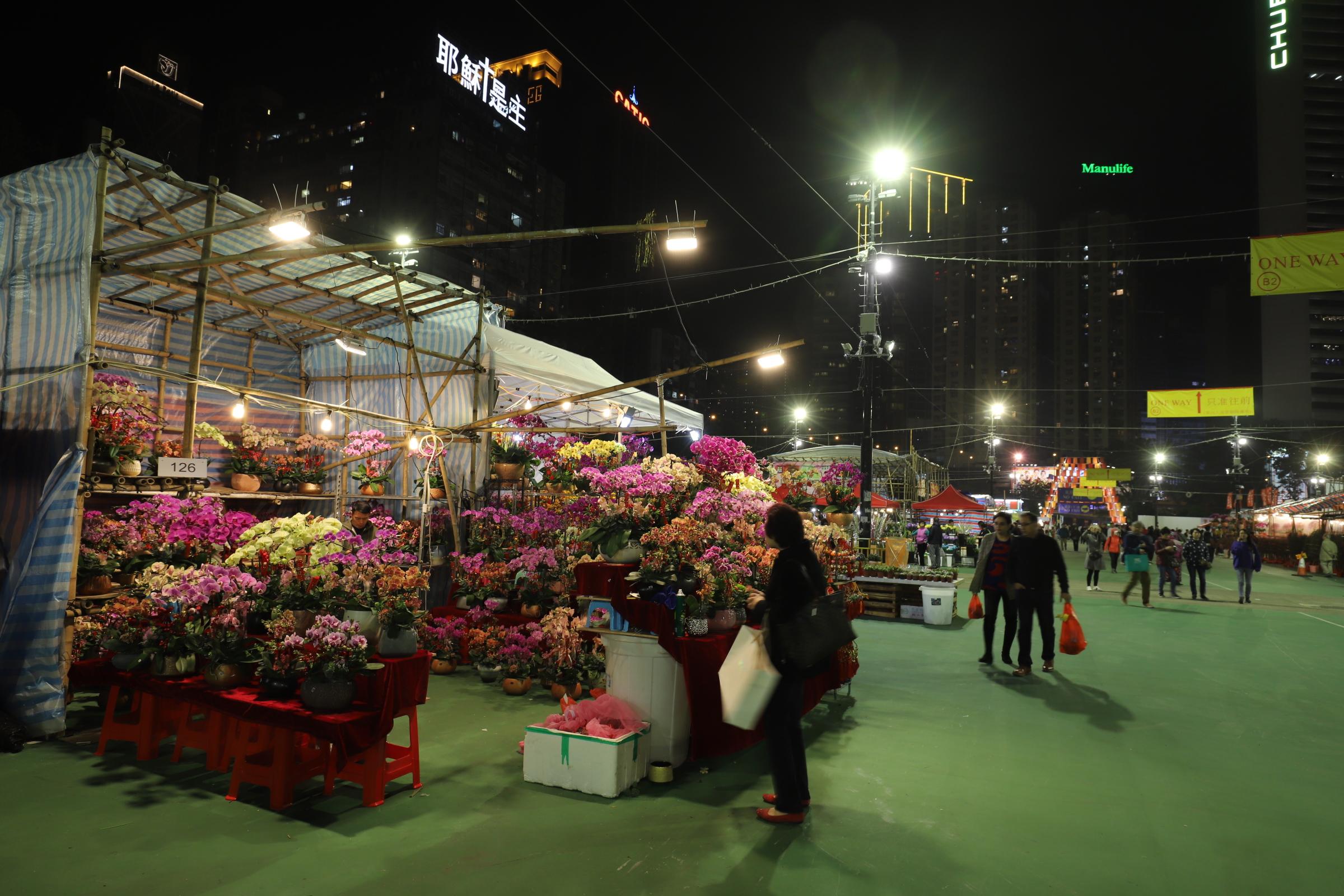 香港正版資料免費(fèi)大全生肖表2025最新版，香港正版資料免費(fèi)大全，2025最新版生肖表全解析