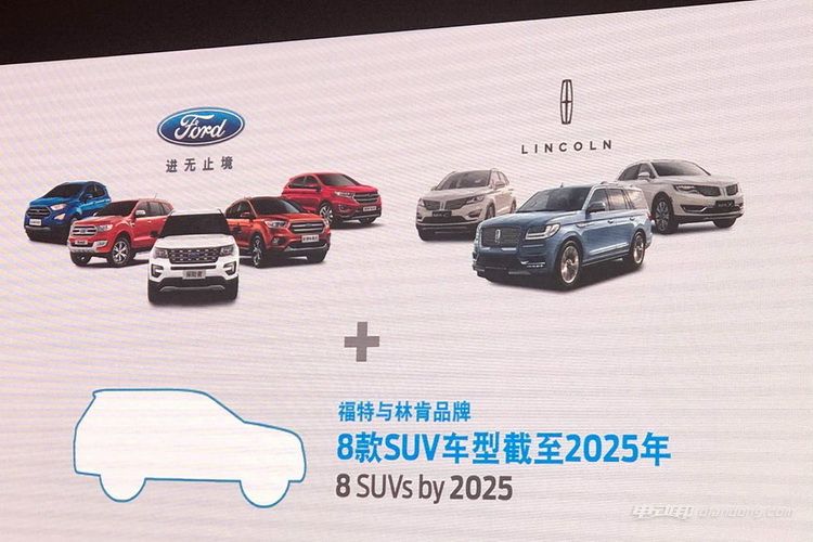 2025新澳門正版免費資本車297 第17頁