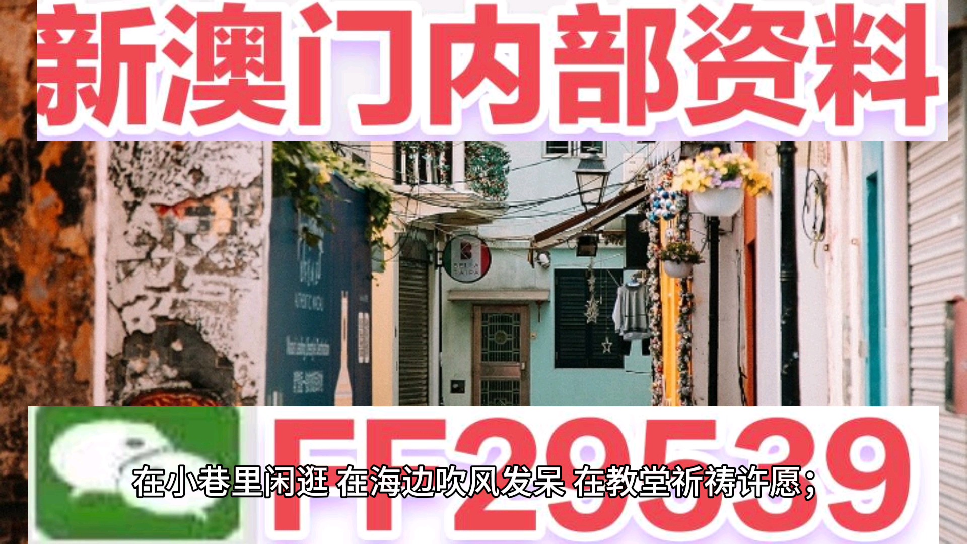 新澳門今晚開獎結果及開獎熱點解析，澳門今晚開獎結果及熱點解析速遞
