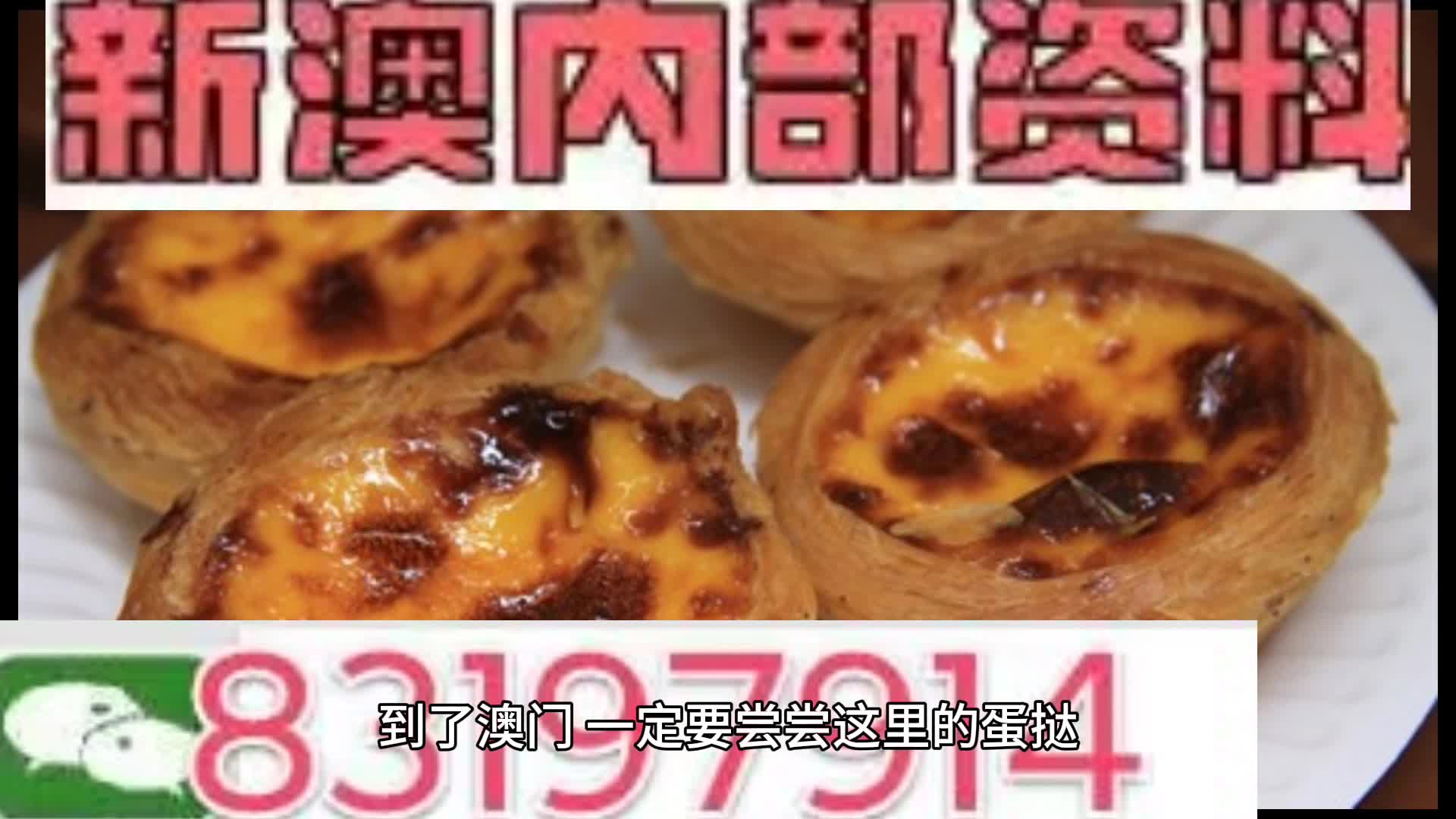 新澳門資料大全正版資料?奧利奧斗地主，澳門正版資料大全與奧利奧斗地主，一網(wǎng)打盡