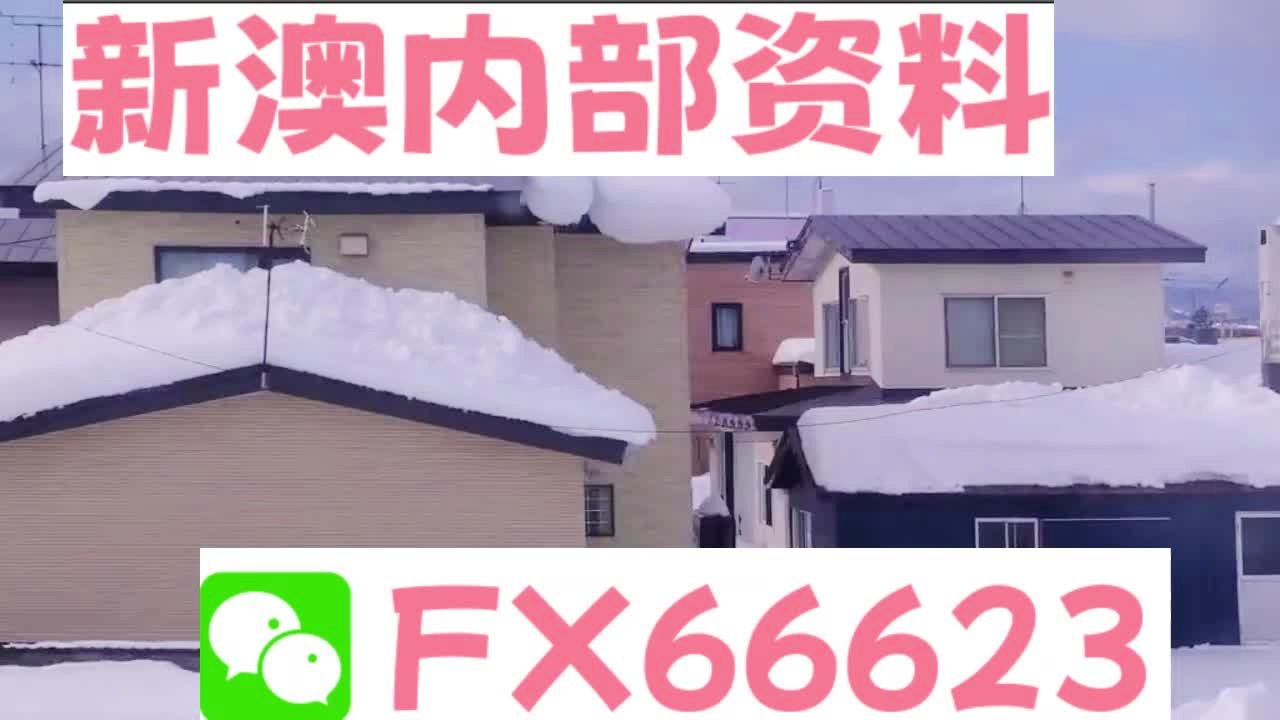 2025新澳精準資料大全解釋，2025新澳精準資料大全詳解