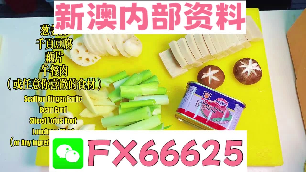 『深度解析』，2025新澳精準資料大全詳解，深度解析，2025新澳精準資料大全詳解與指南