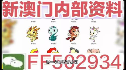 揭秘，2025新澳門今晚生肖開彩大揭秘，澳門生肖彩票揭秘，2025年今晚開獎大揭秘