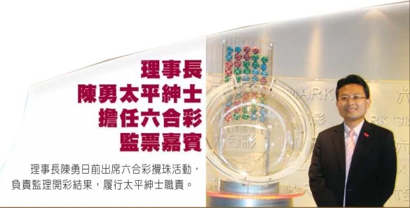 2025年香港今晚開獎結果查詢表，香港今晚開獎結果查詢表（2025年）