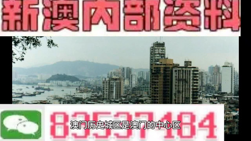 新澳門精準四肖期期中特公開，深度解析與探討，澳門精準四肖期期中特深度解析與探討揭秘