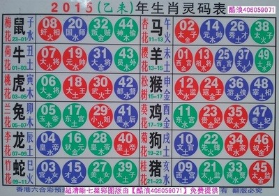 2025生肖49碼表圖片，2025年生肖49碼表圖片大全