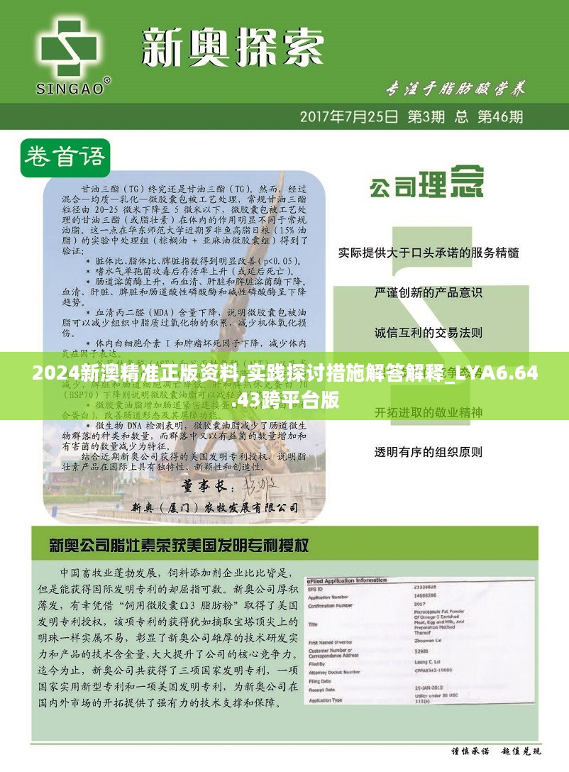 新澳2025資料深度解析，新澳2025資料深度解讀報告