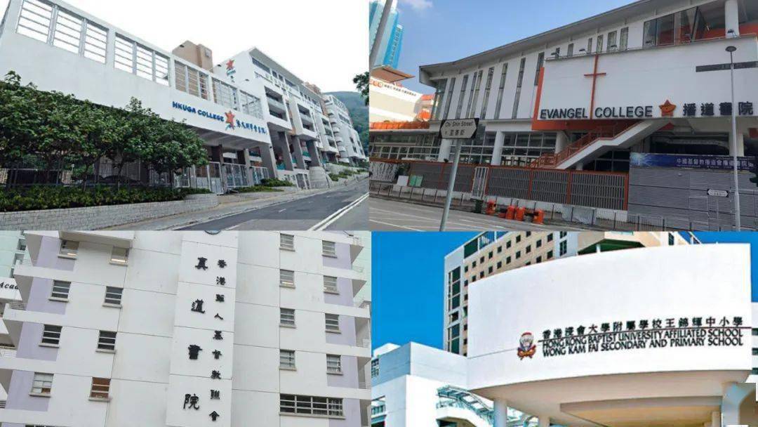 香港免費(fèi)公開資料大全，一網(wǎng)打盡各類資源，香港免費(fèi)資源大全，一網(wǎng)打盡各類公開資料