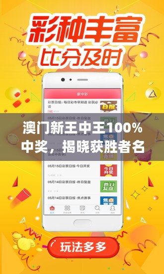 揭秘新澳門王中王，期期中神話的背后，揭秘新澳門王中王期期中神話真相