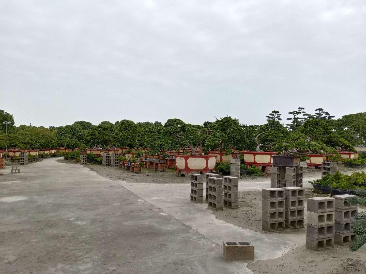 香港澳門旅游全攻略2004（上），香港澳門旅游全攻略2004（上），探索城市魅力的不二指南