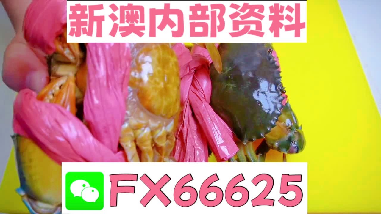 『深度解析』，2025新澳精準(zhǔn)資料大全詳解，深度解析，2025新澳精準(zhǔn)資料大全詳解與指南