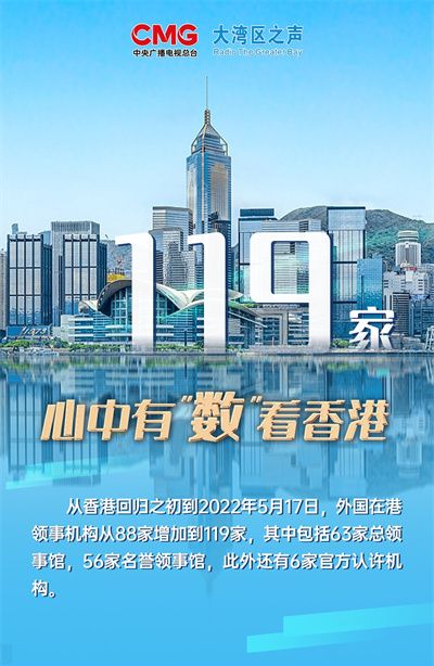 香港資料大全，正版資料下載手機(jī)2025年，香港資料大全2025年正版手機(jī)下載指南