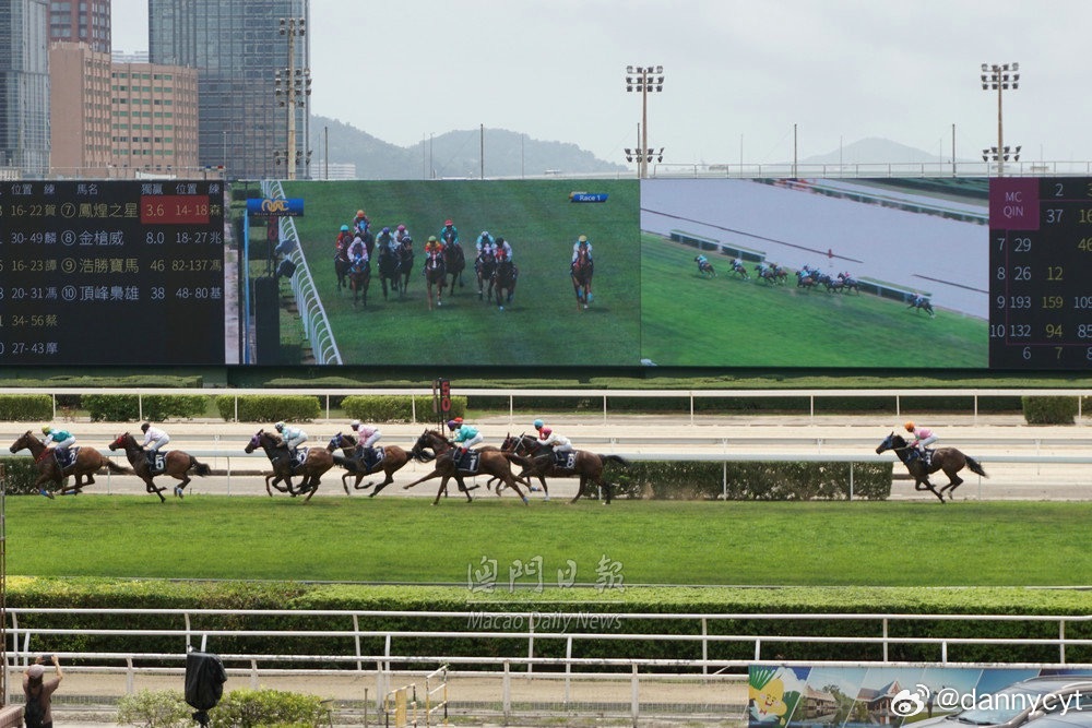 2025新澳門(mén)今晚開(kāi)特馬直播，澳門(mén)特馬直播預(yù)告，揭秘今晚開(kāi)獎(jiǎng)懸念