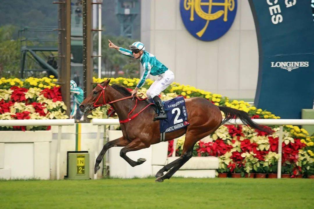 HKJC香港賽馬會(huì)，探索賽馬文化的魅力，HKJC香港賽馬會(huì)，深度探索賽馬文化的獨(dú)特魅力
