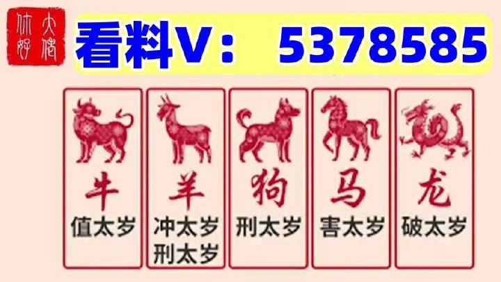 2025澳門特馬開獎(jiǎng)查詢，澳門特馬開獎(jiǎng)結(jié)果查詢 2025最新開獎(jiǎng)信息