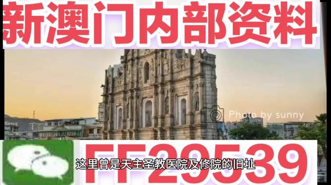 新澳2025今晚特馬資料揭秘，新澳2025今晚特馬資料大揭秘