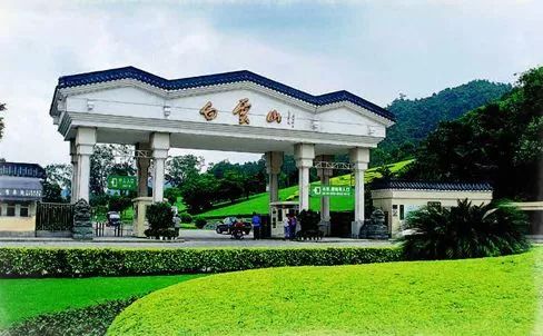新奧門特免費資料大全凱旋門——探索熱門信息的魅力，新奧門特免費資料大全，探索熱門信息的魅力與凱旋門之旅