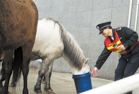 澳門今晚開特馬四不像圖，澳門特馬四不像圖今晚開獎結(jié)果