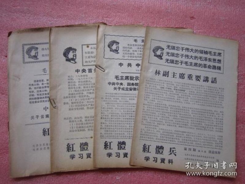二四六好彩869cc資料，二四六好彩與869cc資料的綜合概述