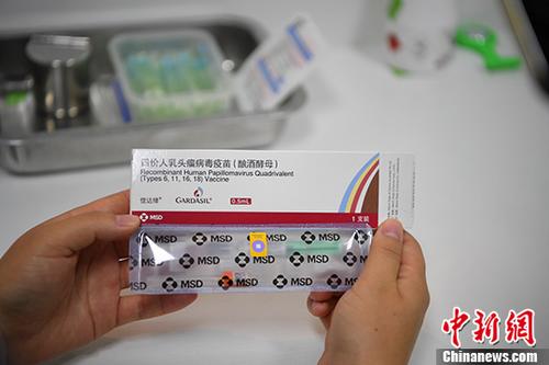 二四六香港管家婆期期準資料大全，香港管家婆期期準資料大全 246期期精選預測