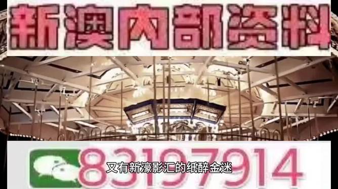 今晚上澳門特馬開幾號(hào)的熱門預(yù)測(cè)與探討，澳門特馬今晚熱門號(hào)碼預(yù)測(cè)與探討