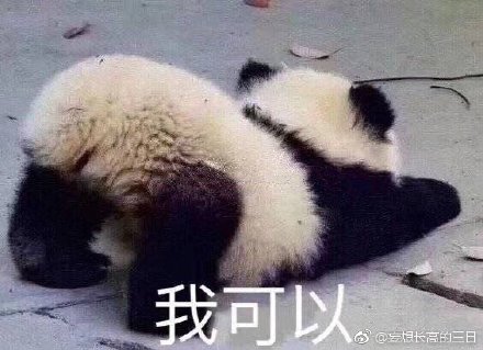 澳門四不像今晚的圖，澳門四不像今晚圖案揭秘